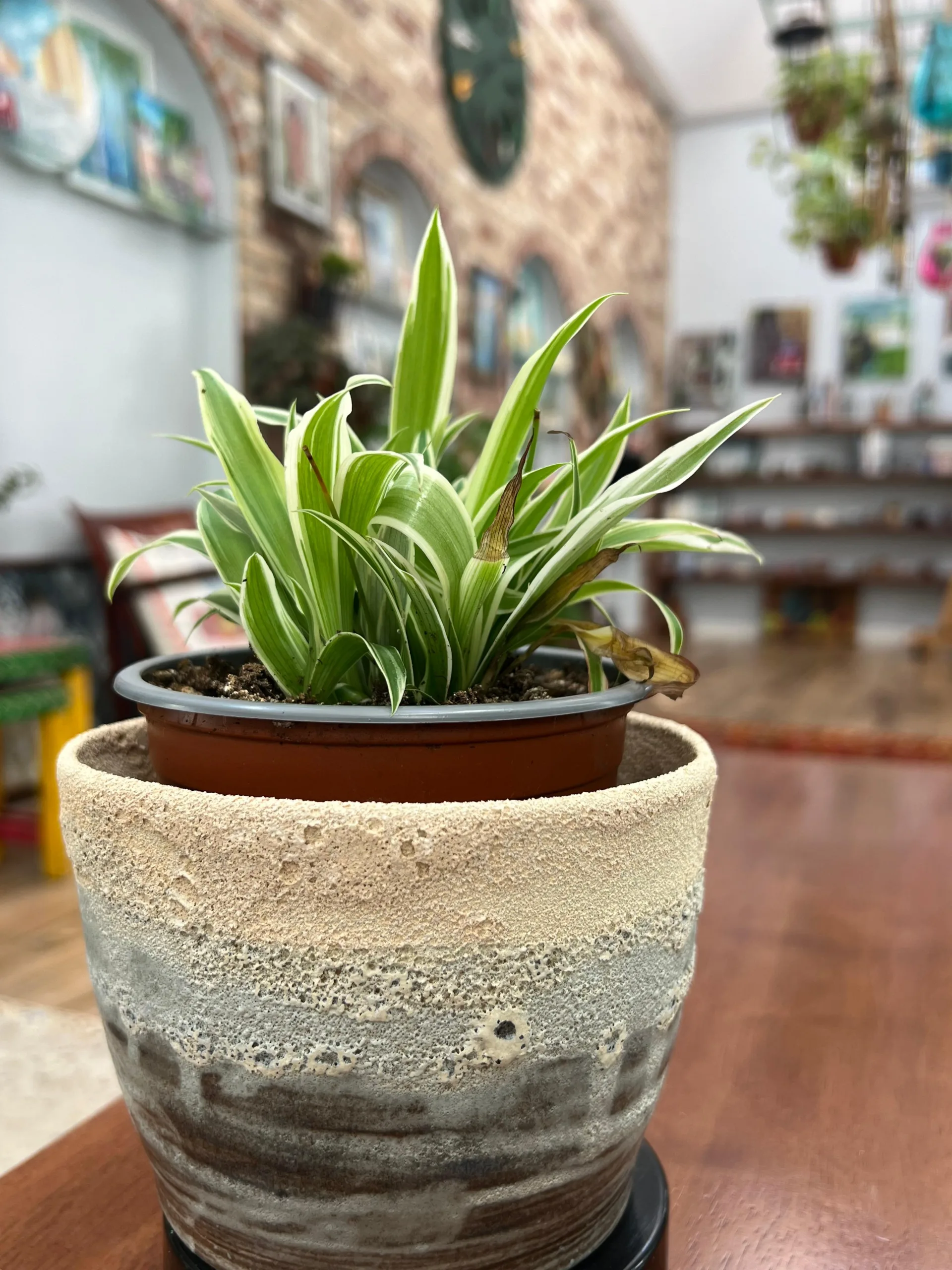 أصيص شاطئ البحر من متجر استديو منال للفنون