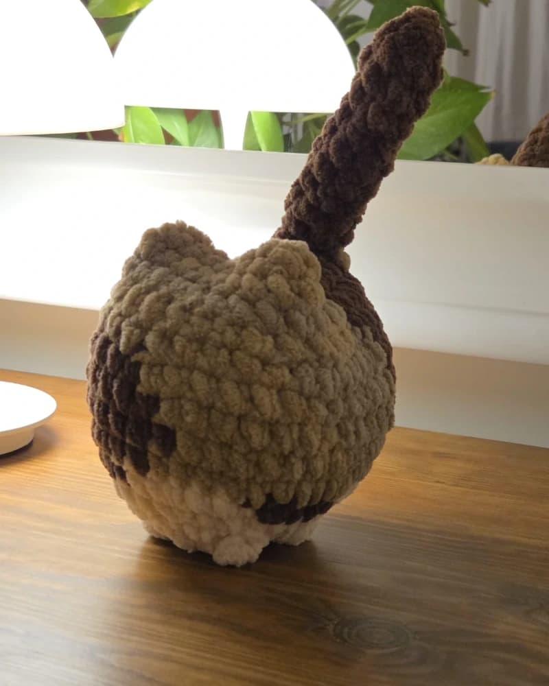 قطة نسجة من متجر نسجة