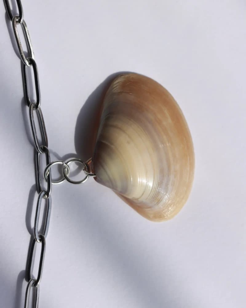 سلسال الصدف الطبيعي من متجر 𐩣𐩴𐩥𐩠𐩧 𐩺𐩪𐩧 مُجَوْهَر يُسْر