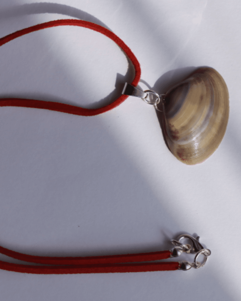 سلسال احمر من الصدف الطبيعي من متجر 𐩣𐩴𐩥𐩠𐩧 𐩺𐩪𐩧 مُجَوْهَر يُسْر