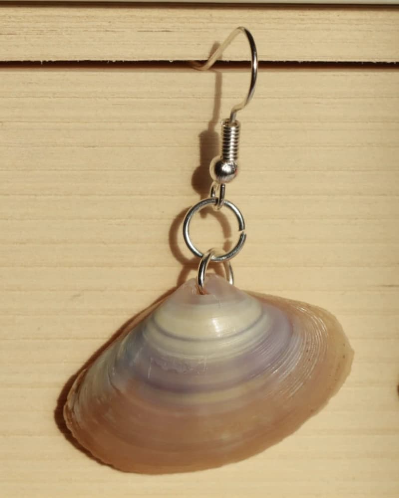 حلق الصدف الطبيعي من متجر 𐩣𐩴𐩥𐩠𐩧 𐩺𐩪𐩧 مُجَوْهَر يُسْر