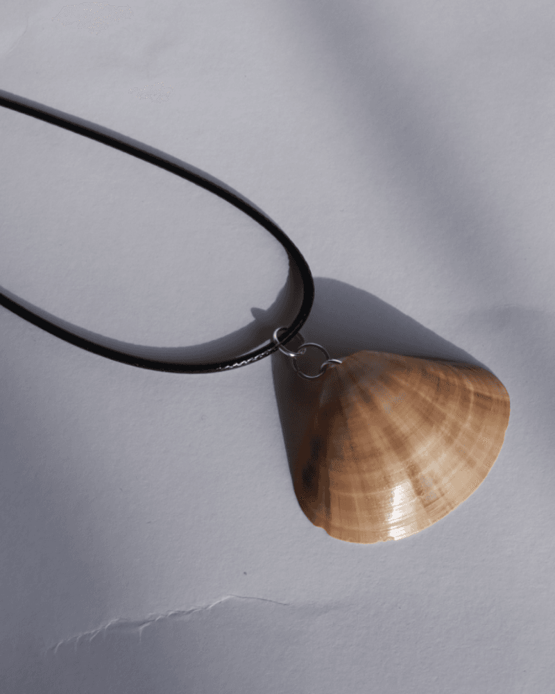 سلسال الصدف الطبيعي من متجر 𐩣𐩴𐩥𐩠𐩧 𐩺𐩪𐩧 مُجَوْهَر يُسْر