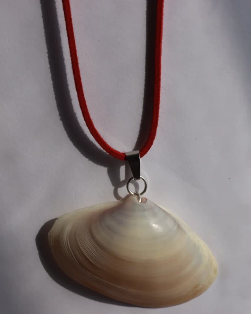 سلسال من الصدف الطبيعي من متجر 𐩣𐩴𐩥𐩠𐩧 𐩺𐩪𐩧 مُجَوْهَر يُسْر