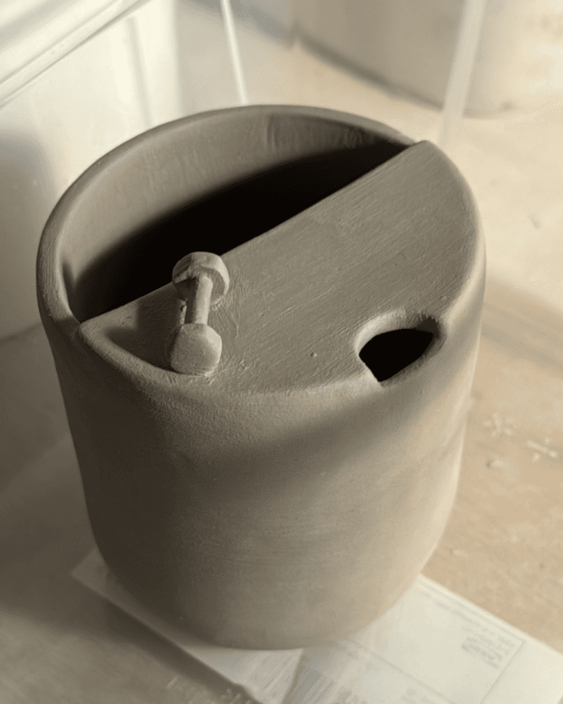 كوب كوتش ساره من متجر تُربة