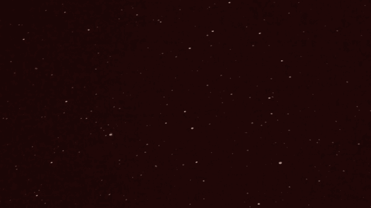 شيو كوب banner